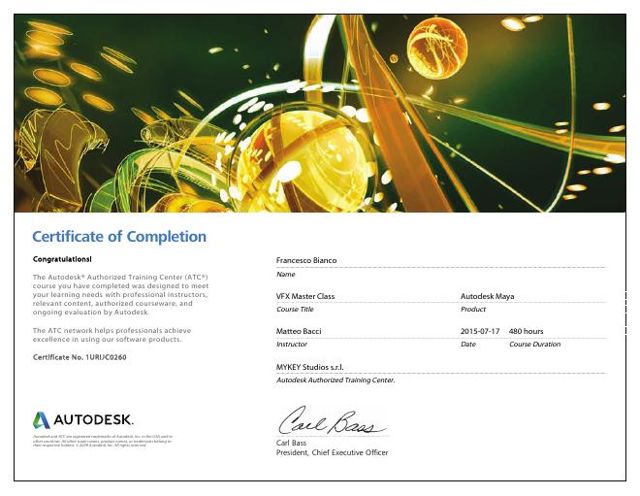 VFX Master Class certificate